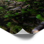 Central Cascades, Staat Washington Poster (Ecke)