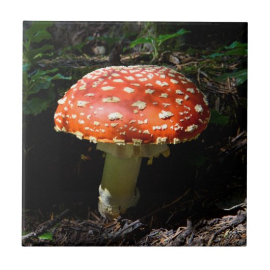 Central Cascades, Washington Staat Fliese (Vorderseite)