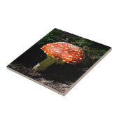 Central Cascades, Washington Staat Fliese (Seite)