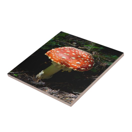 Central Cascades, Washington Staat Fliese (Seite)