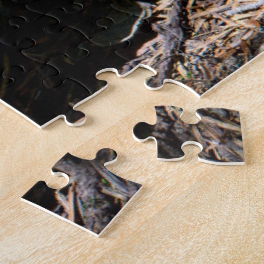 Central Cascades, Washington Staat Puzzle (Seite)