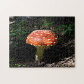 Central Cascades, Washington Staat Puzzle (Horizontal)