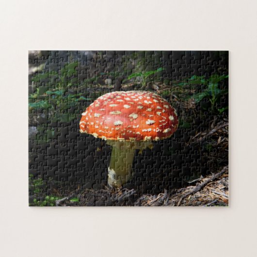 Central Cascades, Washington Staat Puzzle (Horizontal)