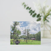 Central Florida Homestead Feiertagspostkarte (Stehend Vorderseite)