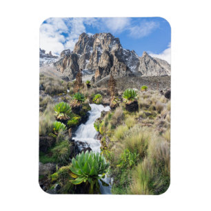 Central Mount Kenya Nationalpark Magnet