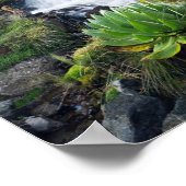 Central Mount Kenya Nationalpark Poster (Ecke)