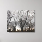 Central Park-1 Leinwanddruck (Vorderseite)