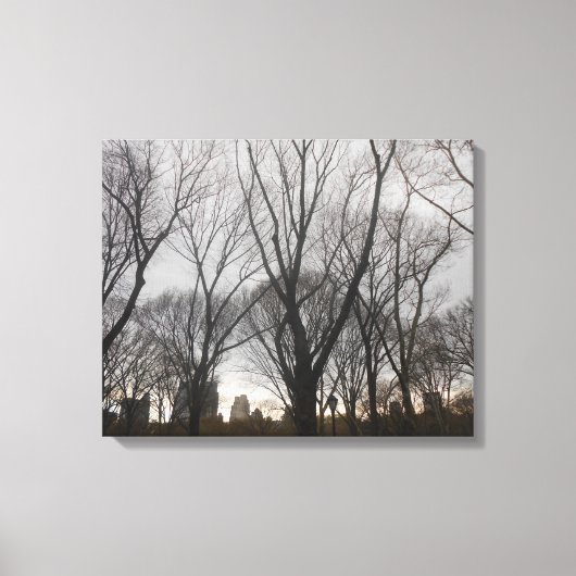 Central Park-1 Leinwanddruck (Vorderseite)