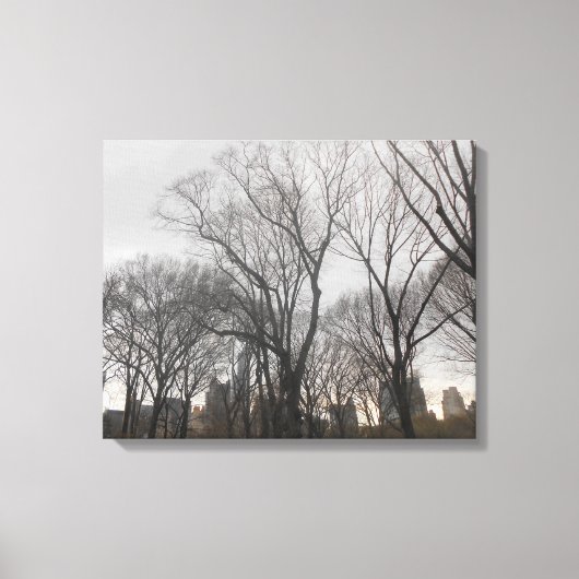 Central Park-2 Leinwanddruck (Vorderseite)