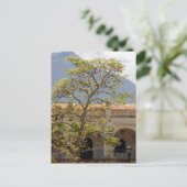 Central Park, Antigua Postcard Postkarte (Stehend Vorderseite)