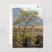 Central Park, Antigua Postcard Postkarte (Vorne/Hinten)