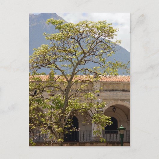 Central Park, Antigua Postcard Postkarte (Vorderseite)