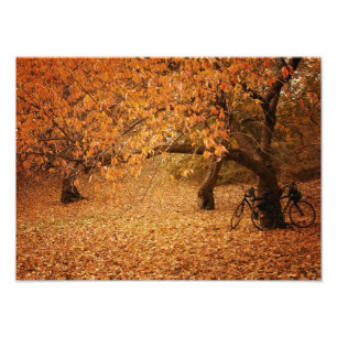 Central Park Autumn - New York City Fotodruck