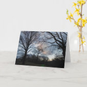 Central Park B Karte (Gelbe Blume)