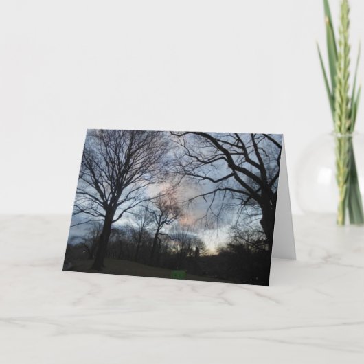 Central Park B Karte (Vorderseite)