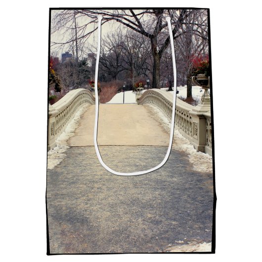 Central Park Bogen-Brücken-Foto Mittlere Geschenktüte (Rückseite)