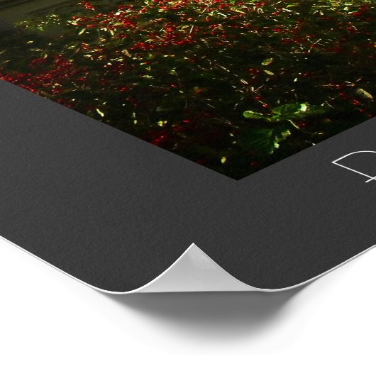 Central Park - Bow Bridge - New York City Poster (Ecke)