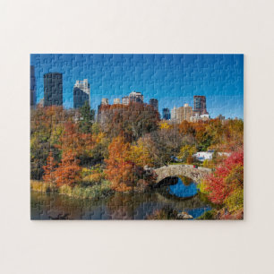 Central Park Bridge Puzzle