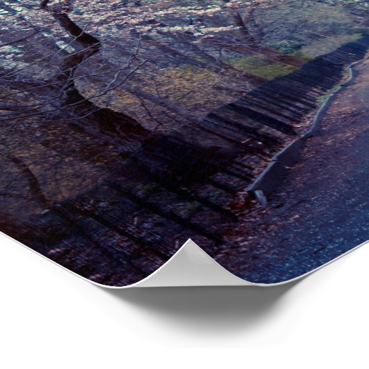 Central Park Cherry Blossom Pfad Poster (Ecke)