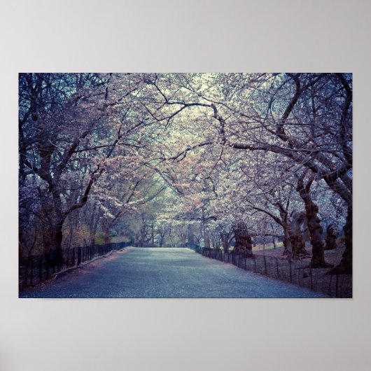 Central Park Cherry Blossom Pfad Poster (Vorne)