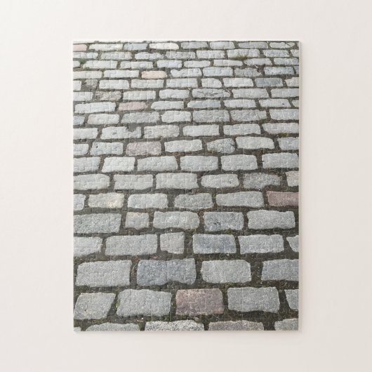 Central Park Cobblestones Stone Wege NYC Foto Puzzle (Vertikal)