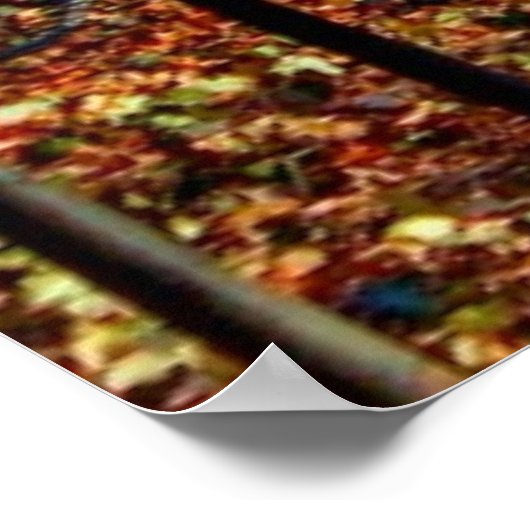 Central Park Conservatory Landschaft Foto Poster (Ecke)