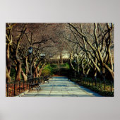 Central Park Conservatory Landschaft Foto Poster (Vorne)