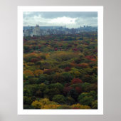 Central Park Fall Poster (Vorne)