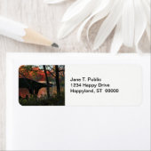 Central Park: Gespräche über die Bow Bridge (Insitu)