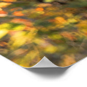 Central Park Herbst: Romeo & Julia Statue 01 Poster (Ecke)