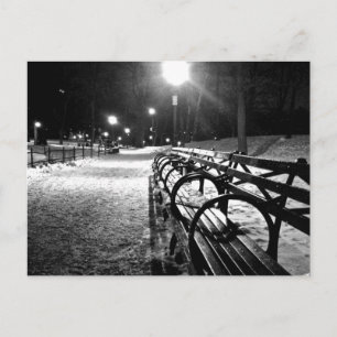 Central Park im Winter Postkarte