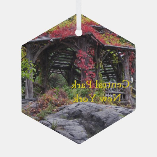 Central Park in New York Ornament Aus Glas (Rückseite)