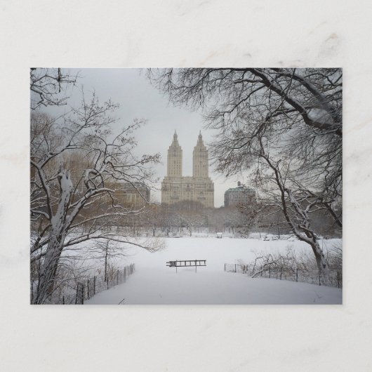 Central Park in Snow, New York City Postkarte (Vorderseite)
