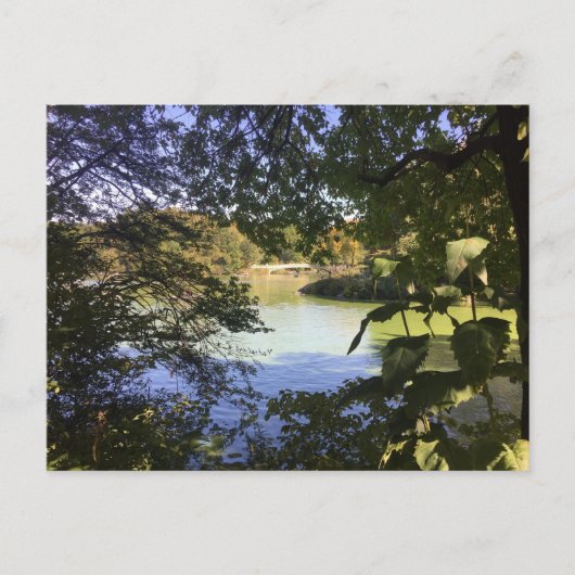 Central Park Lake New York City NYC Foto Postkarte (Vorderseite)
