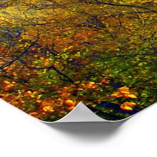 Central Park Lake View 2006 Poster (Ecke)