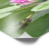 Central Park "Lily Pads" Fotodruck (Ecke)