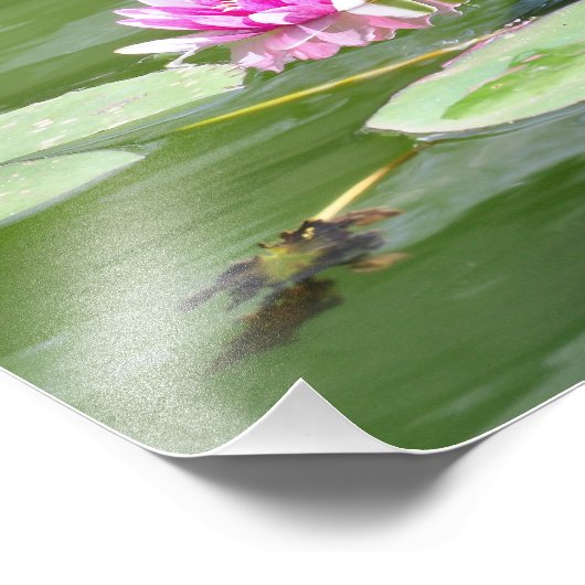 Central Park "Lily Pads" Fotodruck (Ecke)