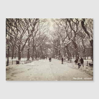 Central Park Magnetic Card Magnetkarte