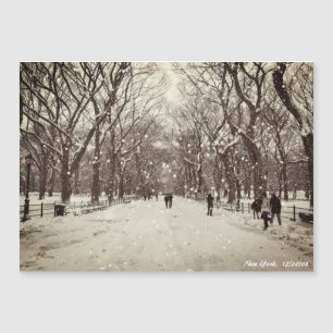 Central Park Magnetkarte