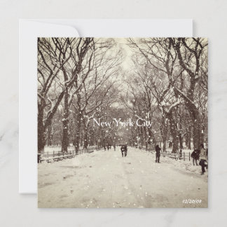 Central Park Magnetkarte Dankeskarte