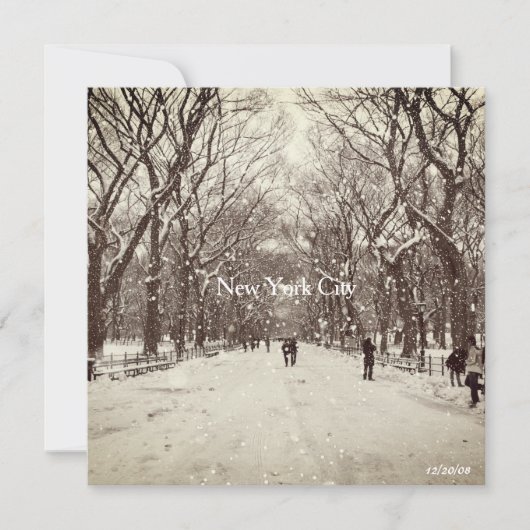 Central Park Magnetkarte Dankeskarte (Vorderseite)