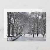 Central Park Mall B&W Postkarte (Vorne/Hinten)