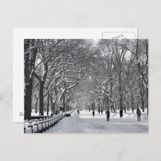 Central Park Mall B&W Postkarte (Vorne/Hinten)