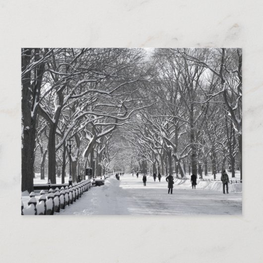 Central Park Mall B&W Postkarte (Vorderseite)