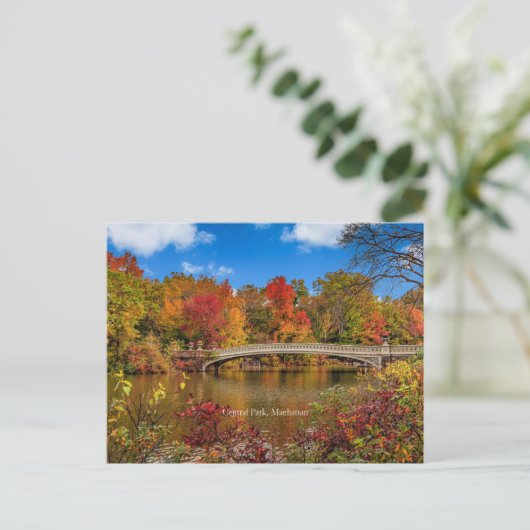 Central Park, Manhattan, Herbst Postkarte (Stehend Vorderseite)