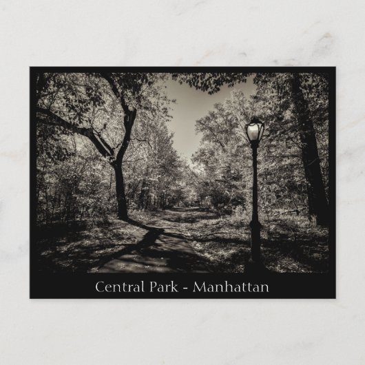 Central Park Manhattan in Schwarz-Weiß Postkarte (Vorderseite)