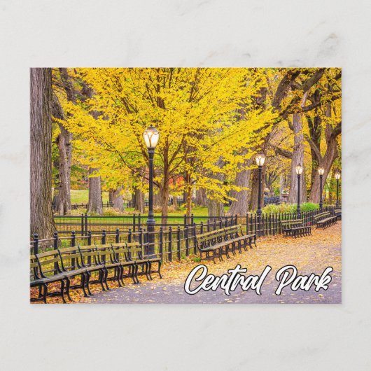Central Park, Manhattan, New York, USA Postkarte (Vorderseite)