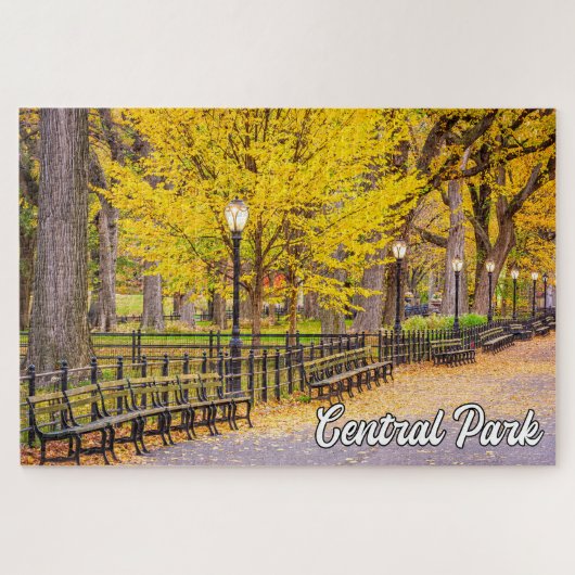 Central Park, Manhattan, New York, USA Puzzle (Horizontal)