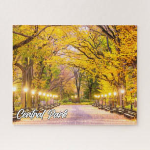 Central Park, Manhattan, New York, USA Puzzle