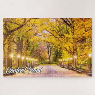 Central Park, Manhattan, New York, USA Puzzle